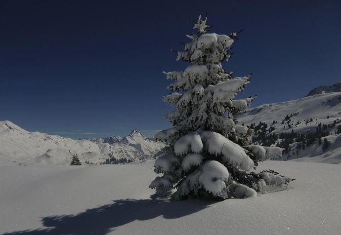 Winterlandschaft