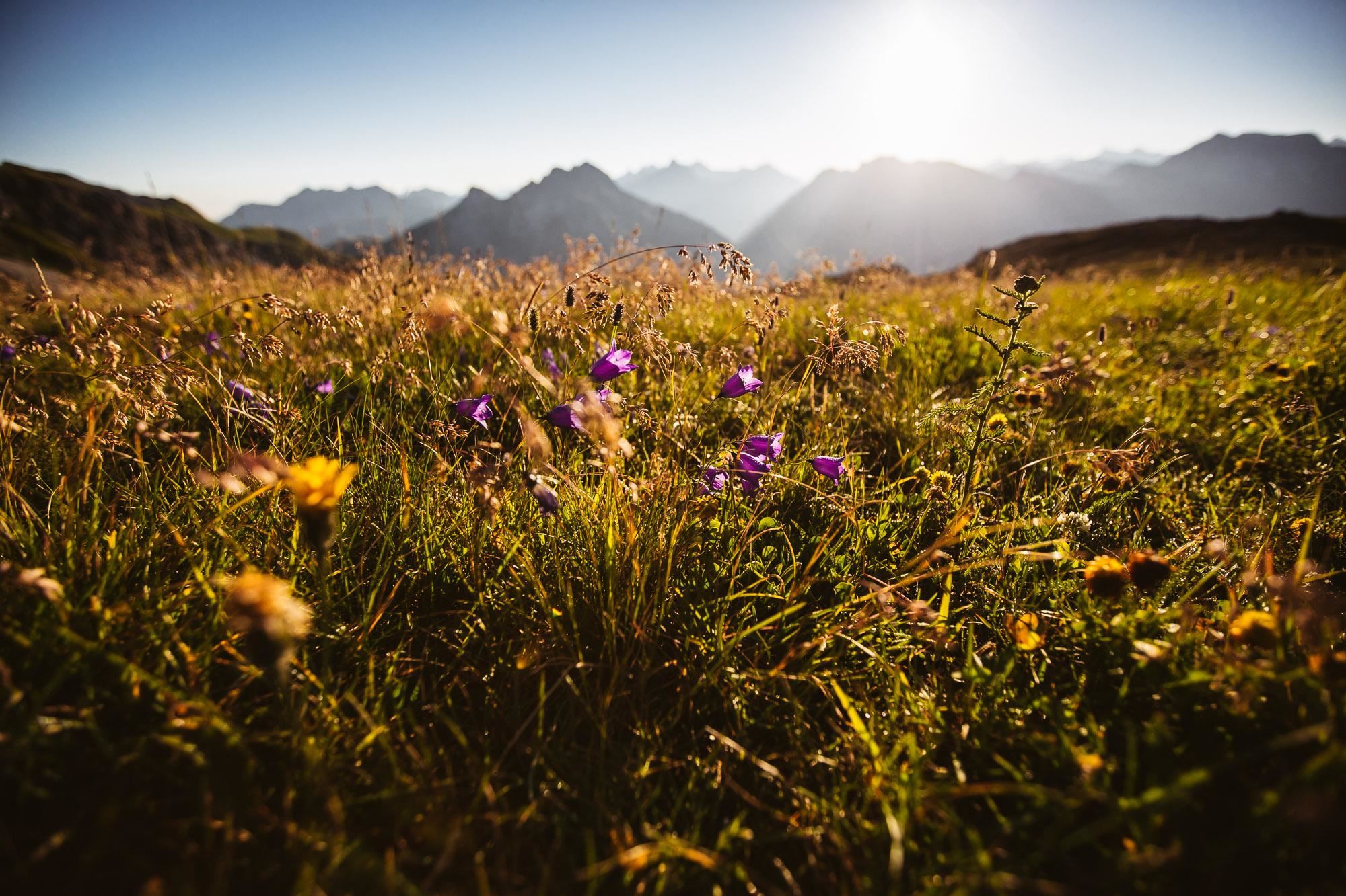 Kräuterwanderung